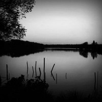 /album/string-bikiniss/photolia-b01-jpg/